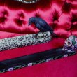 画像7: Raven Skull Incense Holder / インセンスホルダー【NEMESIS NOW】 (7)