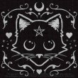 画像3: PURRFECT RUG / ラグマット【Alchemy Gothic】 (3)