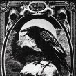 画像3: POE'S RAVEN RUG / ラグマット【Alchemy Gothic】 (3)