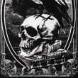 画像4: POE'S RAVEN RUG / ラグマット【Alchemy Gothic】 (4)