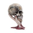 画像2: Metallica - Sad But True Skull 22cm / オーナメント【NEMESIS NOW】 (2)