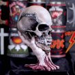 画像1: Metallica - Sad But True Skull 22cm / オーナメント【NEMESIS NOW】 (1)