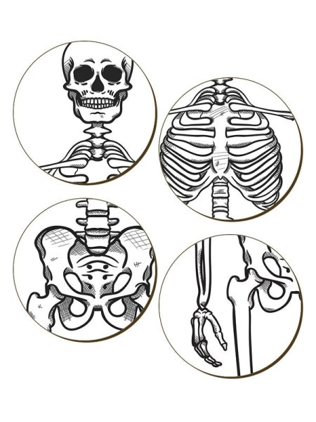 画像1: Dem Bones Skeleton 4 Piece Coaster Set / コースター【GRINDSTORE】 (1)