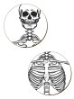 画像2: Dem Bones Skeleton 4 Piece Coaster Set / コースター【GRINDSTORE】 (2)