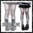 画像1: SPIDER LINE TIGHTS / 網タイツ (1)