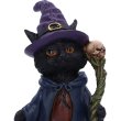 画像6: Whiskered Wizard 14cm / オーナメント【NEMESIS NOW】 (6)