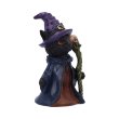 画像5: Whiskered Wizard 14cm / オーナメント【NEMESIS NOW】 (5)