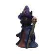 画像3: Whiskered Wizard 14cm / オーナメント【NEMESIS NOW】 (3)