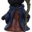 画像7: Whiskered Wizard 14cm / オーナメント【NEMESIS NOW】 (7)