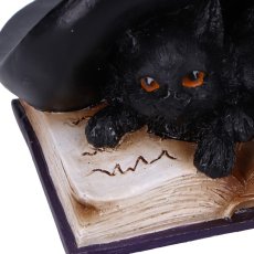 画像7: Potion Pair / cat / オーナメント【NEMESIS NOW】 (7)