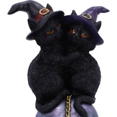 画像6: Kittens Orbuculum / cat / オーナメント【NEMESIS NOW】 (6)